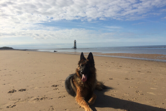 Talacre Beach