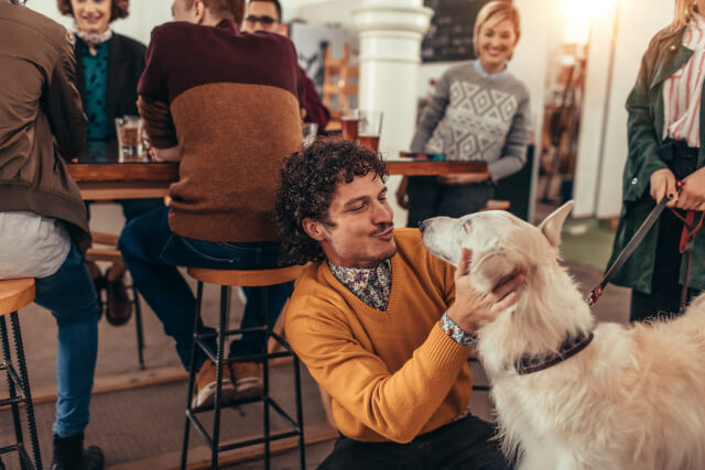 dog friendly restaurants in Cornwall
